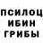 Псилоцибиновые грибы ЛСД Riccardo Gasparini