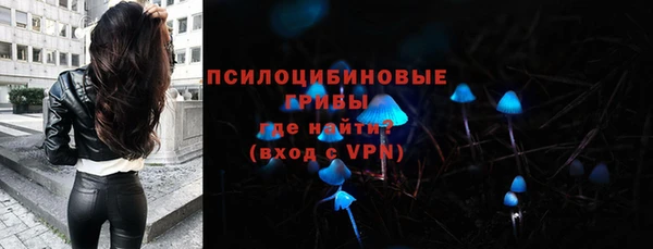МДМА Туринск