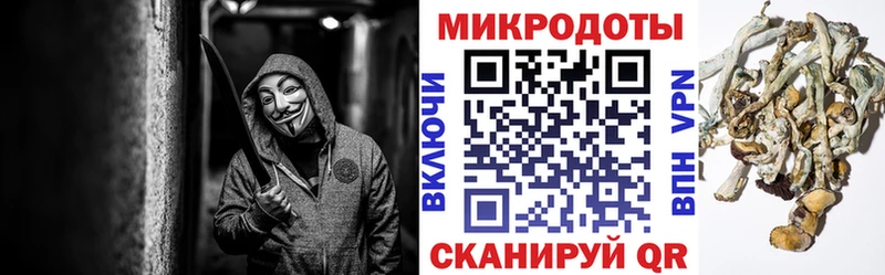 Псилоцибиновые грибы GOLDEN TEACHER  Купить  Верея 